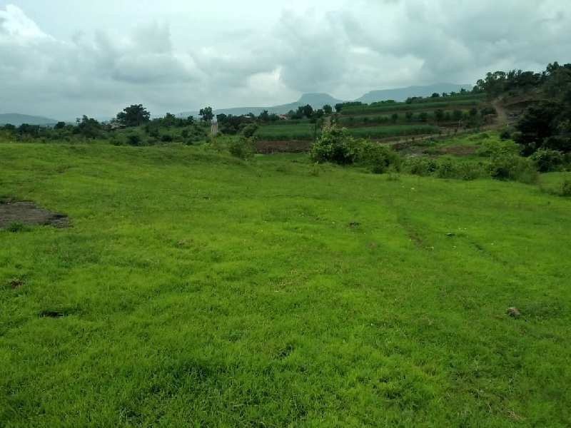 20 Acre Agricultural/Farm Land for Sale in Lonavala, Pune
