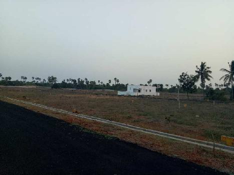 Residential Plot for Sale in Chippada, Visakhapatnam (200 Sq. Yards)