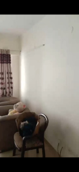 3 BHK Flats & Apartments for Rent in Alwar Bypass Road, Bhiwadi (1500 Sq.ft.)