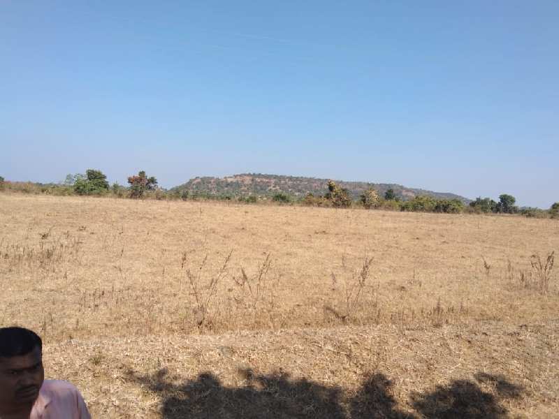 Agriculture land for sale lohagad  mohpa 4 acer for sale total land 30 lakh
