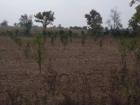 3.75 acer land for sale kalmeshwar ubagi