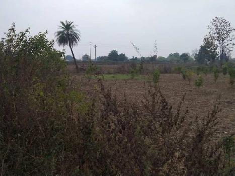 Property for sale in Katol, Nagpur
