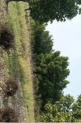 Property for sale in Kelwad, Nagpur