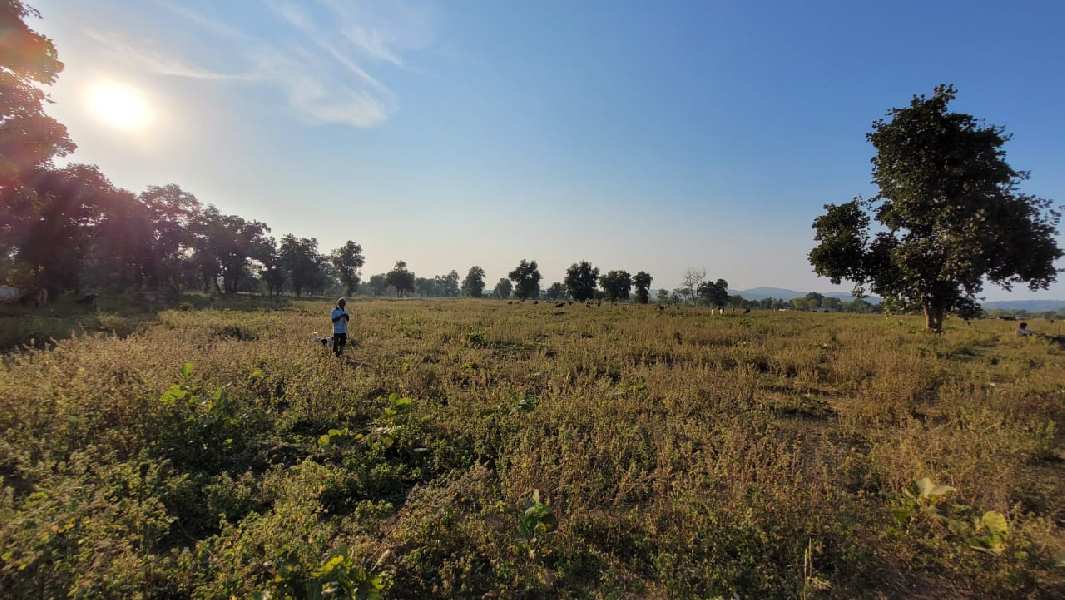Land for sale ramtek 10 acres, Bondri village,Ramtek. 50 KM from Nagpur, 6 KM from Mansar, 3