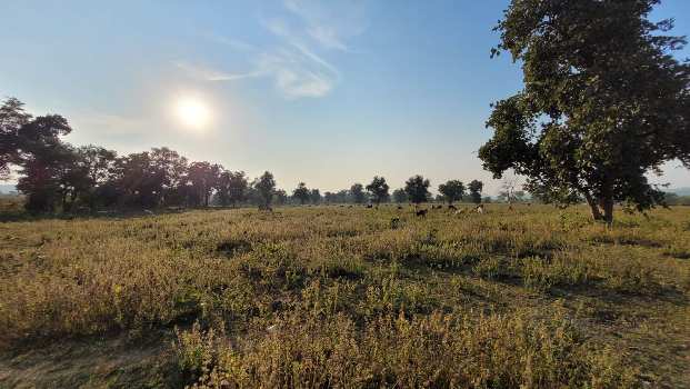 Property for sale in Ramtek, Nagpur