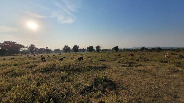 Property for sale in Ramtek, Nagpur