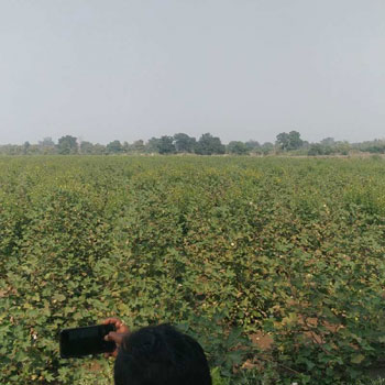 Land for sale kalameshwar mohagaon