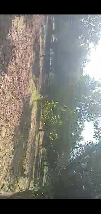 Property for sale in Katol, Nagpur