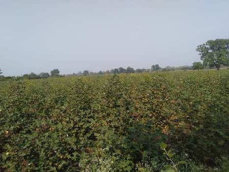 Property for sale in Katol, Nagpur
