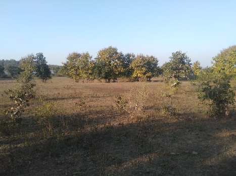 Land for sale kalameshwar ghogali