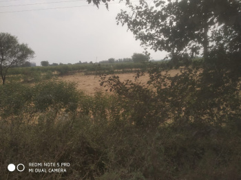 Property for sale in Bela, Bhandara