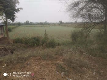 Property for sale in Bela, Bhandara