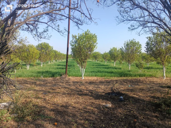 Property for sale in Kalameshwar, Nagpur