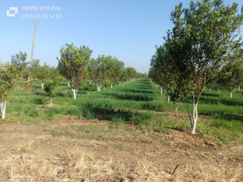 Agriculture land for sale at kalameshwar khapri