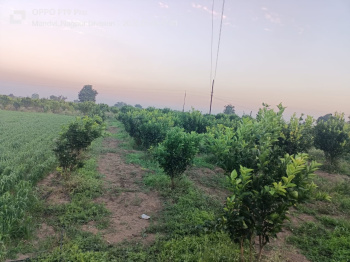 Agriculture land for sale kalmeshwar mandvi