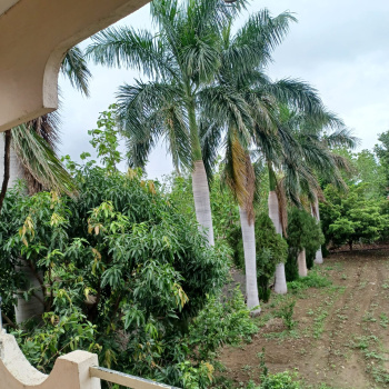 Mauja Linga 3.75 acre tar road touch 2 banglow katol road se 3.50 km