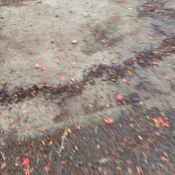 Commercial plot for sale North ambazari road Nagpur