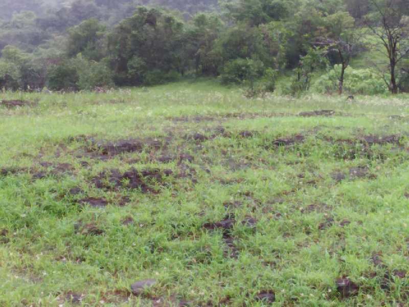 Lonavala 5 acres of land cost- 25cr negotiable.