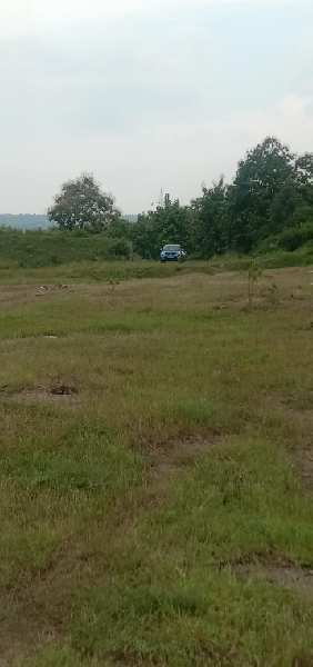 175 Acre Agricultural/Farm Land for Sale in Katol Road, Nagpur