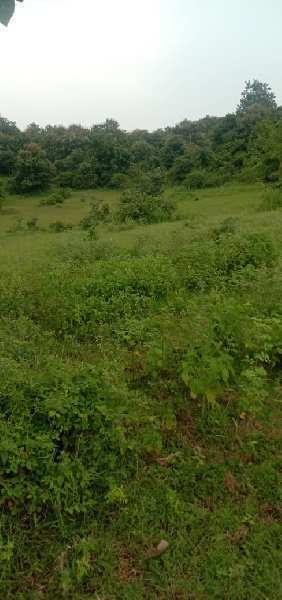 175 Acre Agricultural/Farm Land for Sale in Katol Road, Nagpur