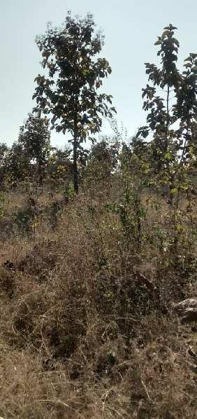 Land for sale in ridhora talaw