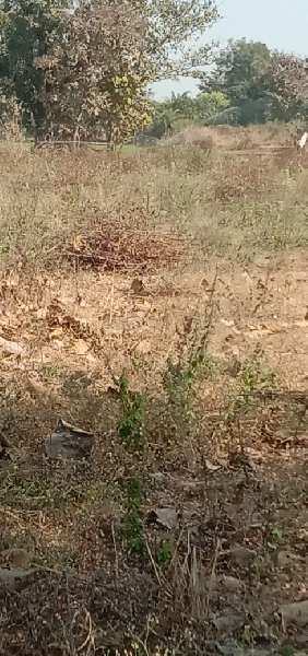 Land for sale in ridhora talaw
