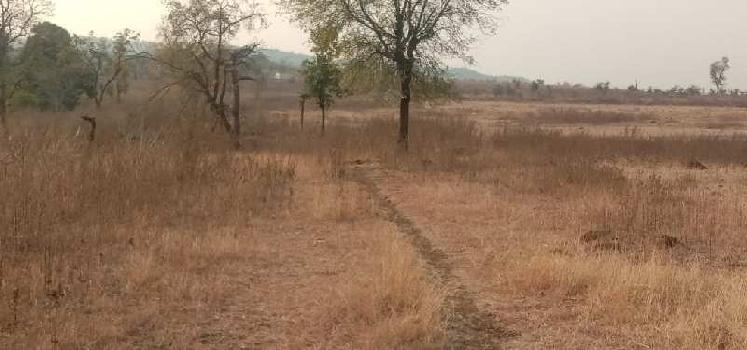 8 Acre Agricultural/Farm Land for Sale in Mohapa, Nagpur