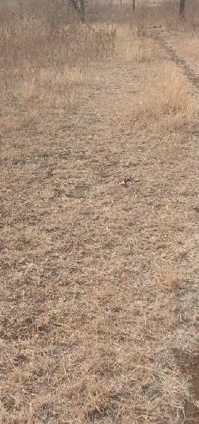 Property for sale in Mohapa, Nagpur