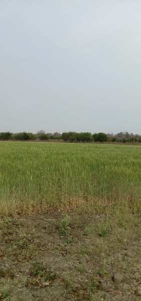 Land for sale in mohap telgaon road