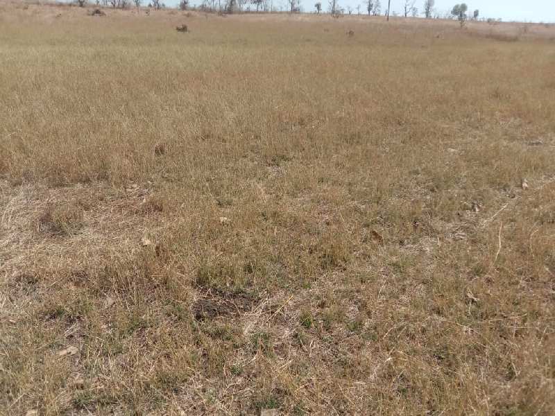 Land for sale in mohap 12 Acre