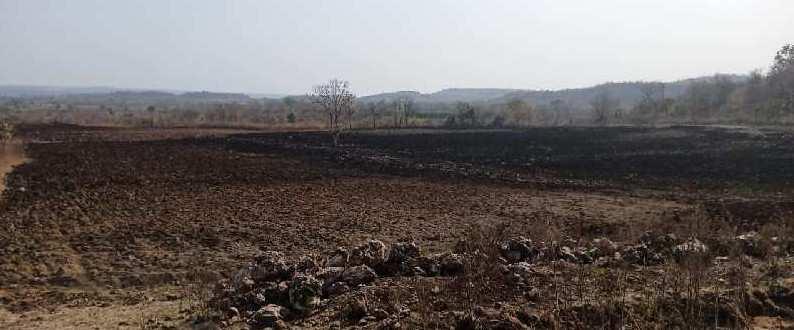 22 Acre Agricultural/Farm Land for Sale in Maharashtra