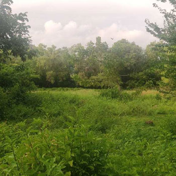 6900 Sq. Meter Commercial Lands /Inst. Land for Sale in Canacona, Goa