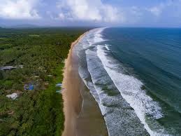 22257 Sq. Meter Commercial Lands /Inst. Land for Sale in Velsao, Goa