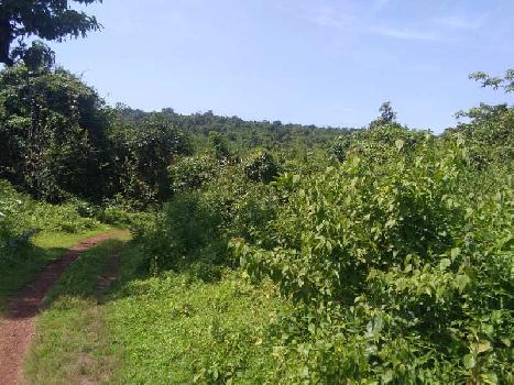 600000 Sq. Meter Commercial Lands /Inst. Land for Sale in Mulgao, Bicholim, Goa