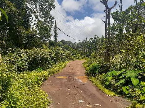 3575 Sq. Meter Commercial Lands /Inst. Land for Sale in North Goa, Goa