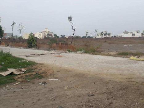 Industrial Land / Plot for Rent in Ludhiana (1500 Sq. Yards)