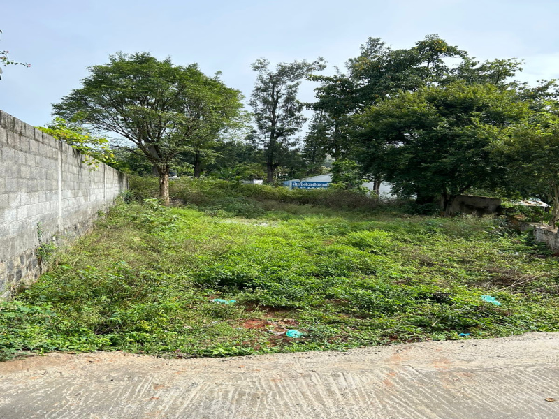 Prime Residential Land Opportunity in Yelagiri, Near Police Station
