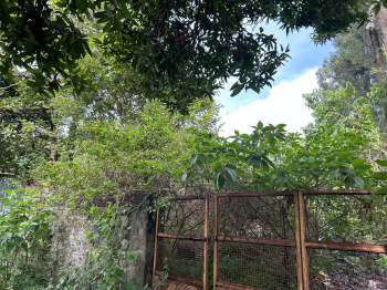 Property for sale in Yelagiri, Vellore