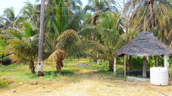 15 Acre Agriculture Land For Sale in Reddimankuppam