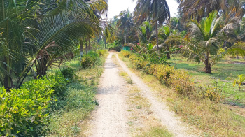 Property for sale in Pernampattu, Vellore