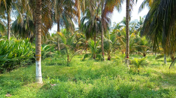 Property for sale in Pernampattu, Vellore