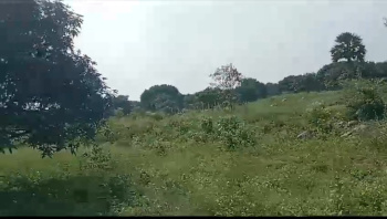 30 Acres Of Agriculture Land For Sale in Sendranakiyanur