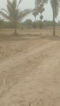 4 Acres Agriculture Land For Sale Near Vaniyambadi Toll Plaza