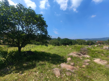 83 Cent of Residential Land For Sale