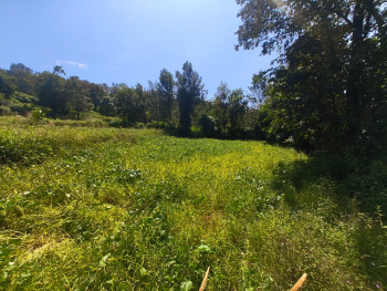 20 Cent Residential Plot Available Fo Sale