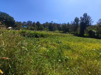 Property for sale in Yelagiri, Vellore