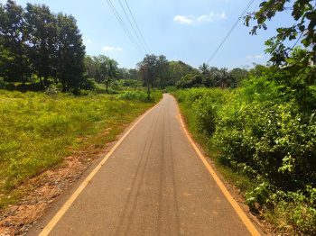 Property for sale in Yelagiri, Vellore