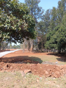 Property for sale in Yelagiri, Vellore