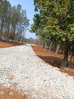 Property for sale in Yelagiri, Vellore