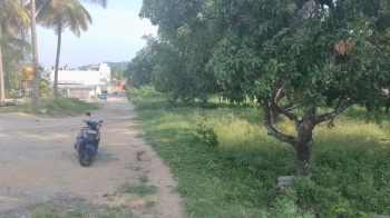 Property for sale in Natrampalli, Vellore